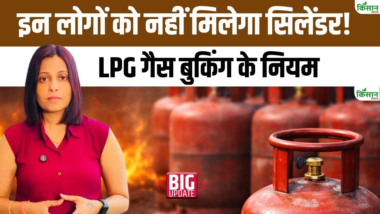 LPG Cylinder New Rule: गैस सिलेंडर को लेकर जानें नियम, पीएनजी कनेक्शन और E-KYC पर क्या है नया अपडेट