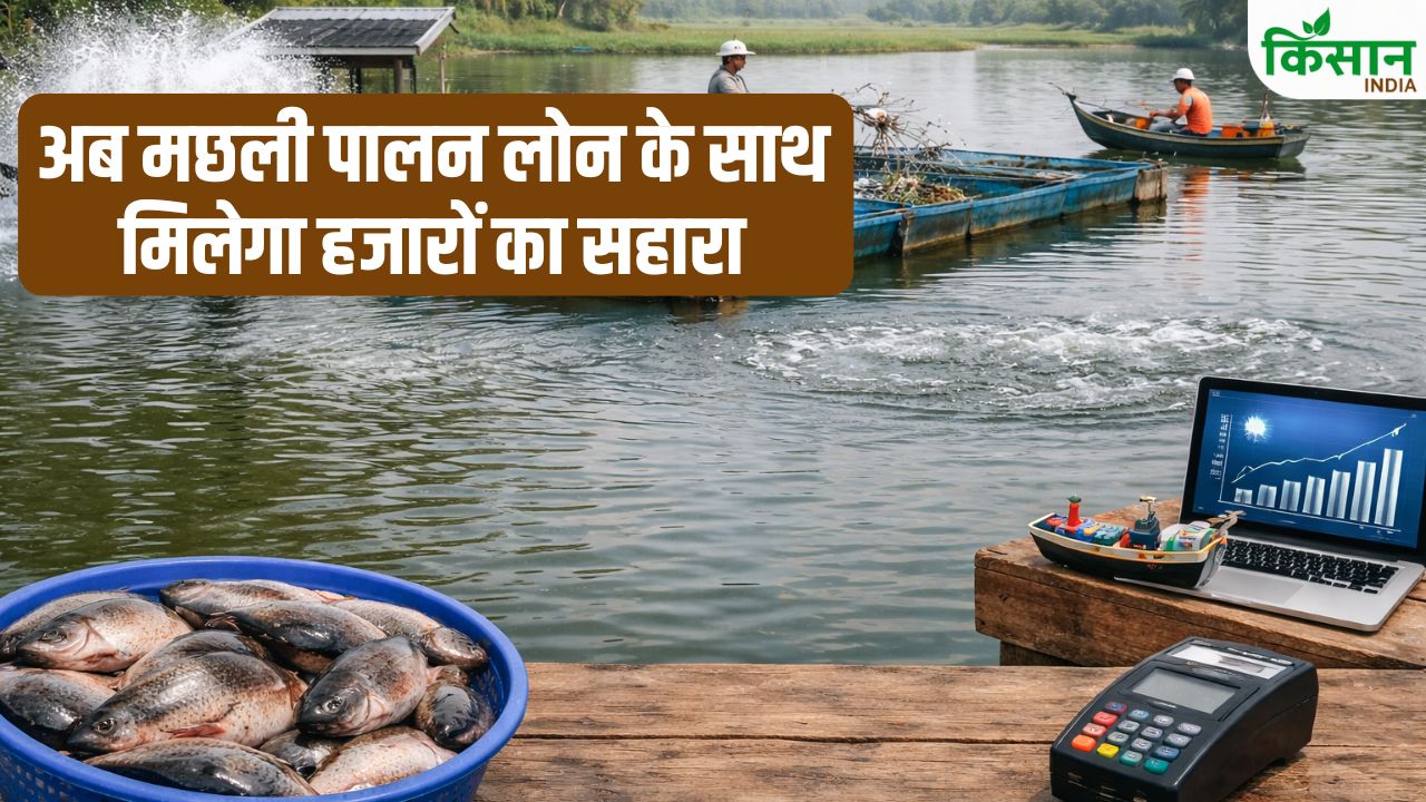 फिशरी सेक्टर में डिजिटल क्रांति, आसान लोन और 5000 रुपये मदद से किसानों को मिल रहा नया सहारा