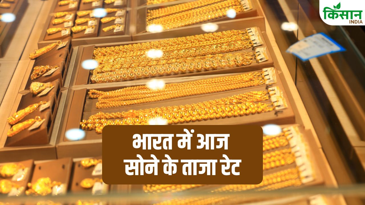 Gold Rate: सोने की कीमतों में अचानक उछाल! जानें आज अपने शहर का हाल और मार्केट ट्रेंड