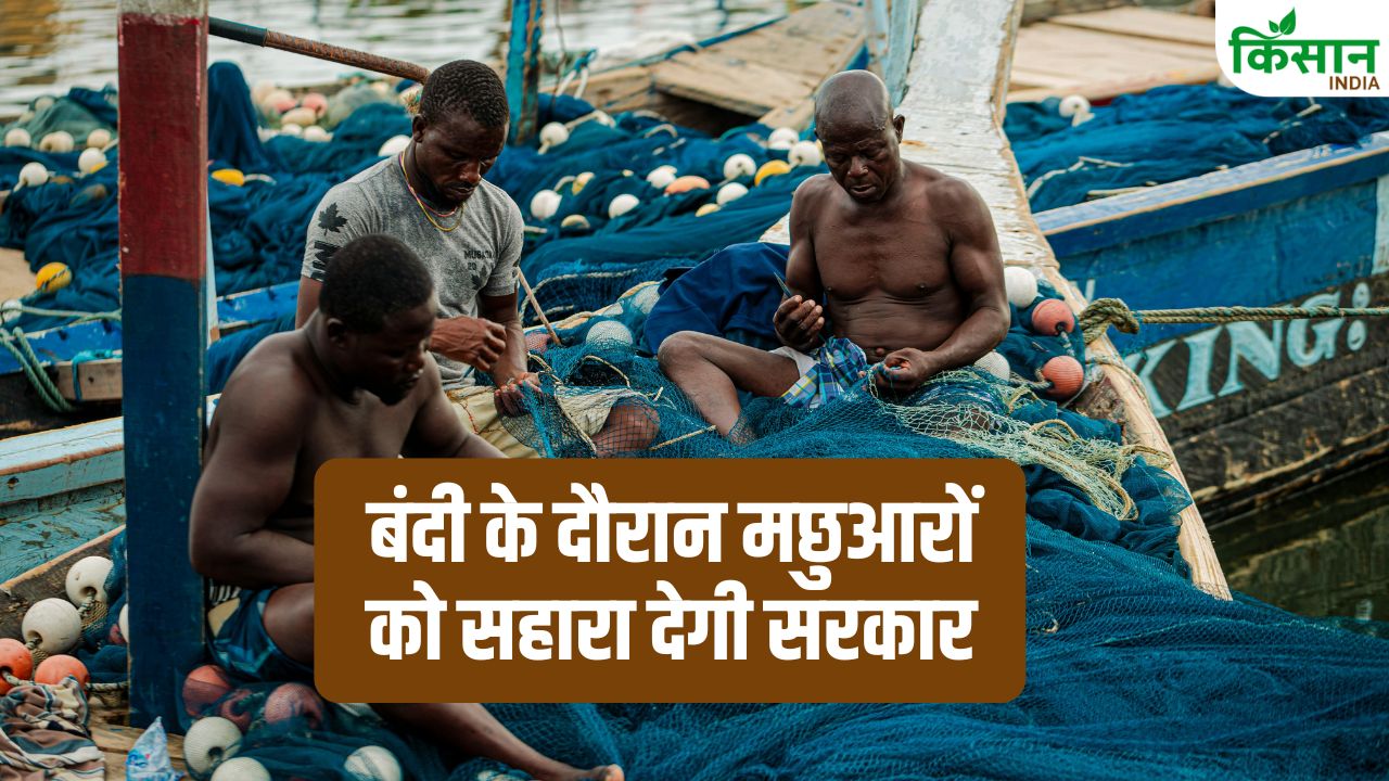 मछली पकड़ने पर रोक में नहीं होगी परेशानी…बिहार सरकार देगी आर्थिक सहायता, मछुआरों के लिए खास योजना