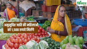 CM मान ने शुरू की ‘मुख्यमंत्री मावां धीआं सत्कार योजन’.. महिलाओं को हर महीने मिलेंगे 1500 रुपये, ये हैं शर्तें CM मान ने शुरू की ‘मुख्यमंत्री मावां धीआं सत्कार योजन’.. महिलाओं को हर महीने मिलेंगे 1500 रुपये, ये हैं शर्तें