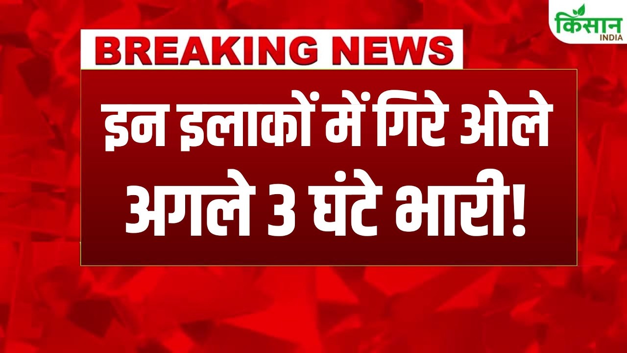 Delhi-NCR में तेज बारिश के साथ ओलावृष्टि, अगले 3 घंटों में आंधी-तूफान का अलर्ट जारी