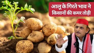 भयंकर घाटे में आलू किसान, आलू की लागत 1000 रुपये और बिक्री मूल्य 800 रुपये.. कैसे चलेगा अन्नदाता का घर भयंकर घाटे में आलू किसान, आलू की लागत 1000 रुपये और बिक्री मूल्य 800 रुपये.. कैसे चलेगा अन्नदाता का घर