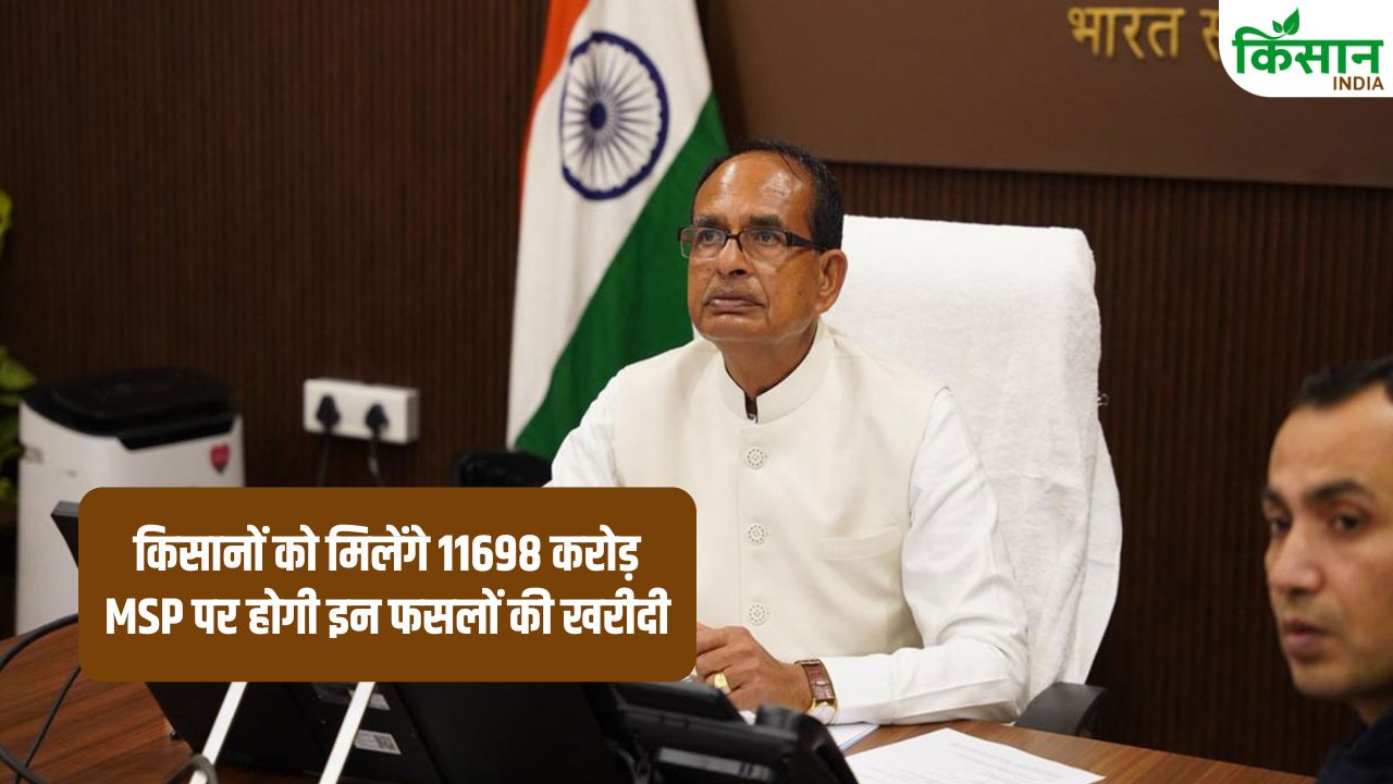 कृषि मंत्री ने दी मंजूरी, MSP पर 18 लाख टन सरसों, चना, मसूर की होगी खरीदी.. किसानों को मिलेंगे 11698 करोड़
