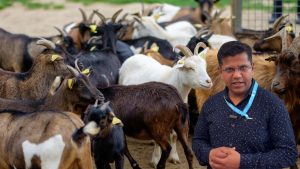Goat Farming: बकरियों की 4 घंटे में जान ले लेती है ये बीमारी, पशु विज्ञानी ने किसानों को किया अलर्ट, उपाय बताए Goat Farming: बकरियों की 4 घंटे में जान ले लेती है ये बीमारी, पशु विज्ञानी ने किसानों को किया अलर्ट, उपाय बताए