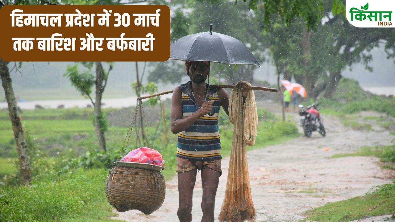 फिर से सक्रिय हुआ पश्चिमी विक्षोभ, पूरे देश में बारिश के साथ ओलावृष्टि की संभावना.. पहाड़ों पर बर्फबारी