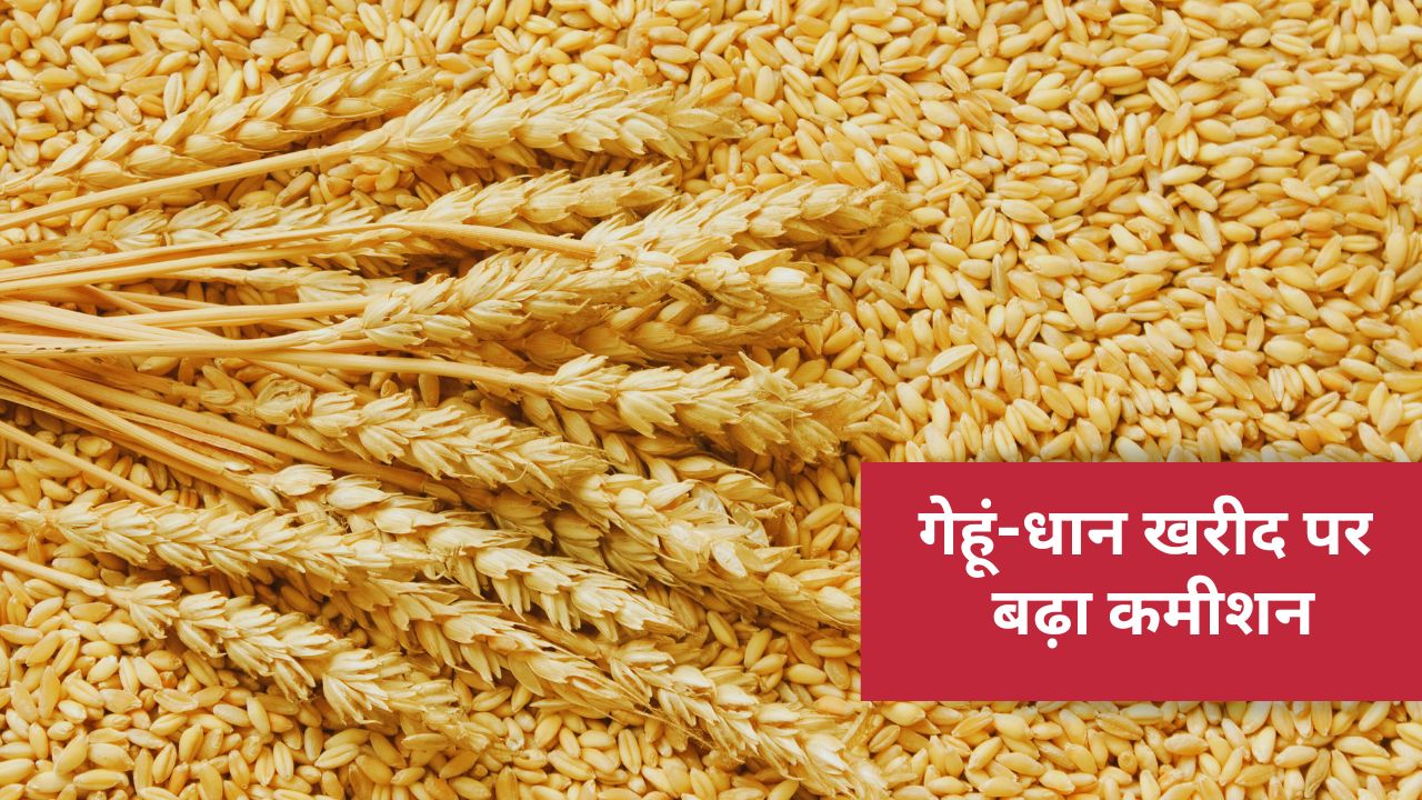 सरकार का बड़ा फैसला, गेहूं-धान खरीद पर आढ़तियों का कमीशन बढ़ाया.. किसानों से उपज खरीद तेज होगी