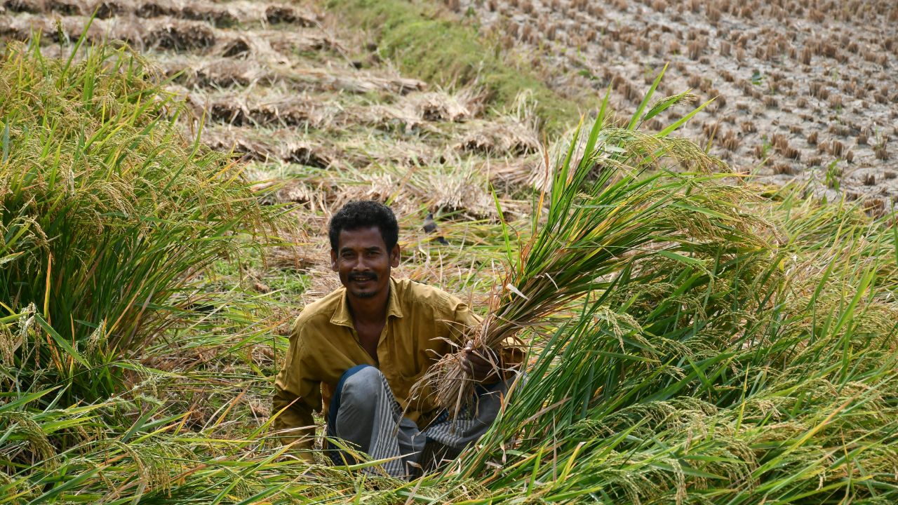किसानों ने बीमा प्रीमियम राशि 36 हजार करोड़ दी और क्लेम पेमेंट 1.92 लाख करोड़ पाया, फसल बीमा से किसानों की चांदी