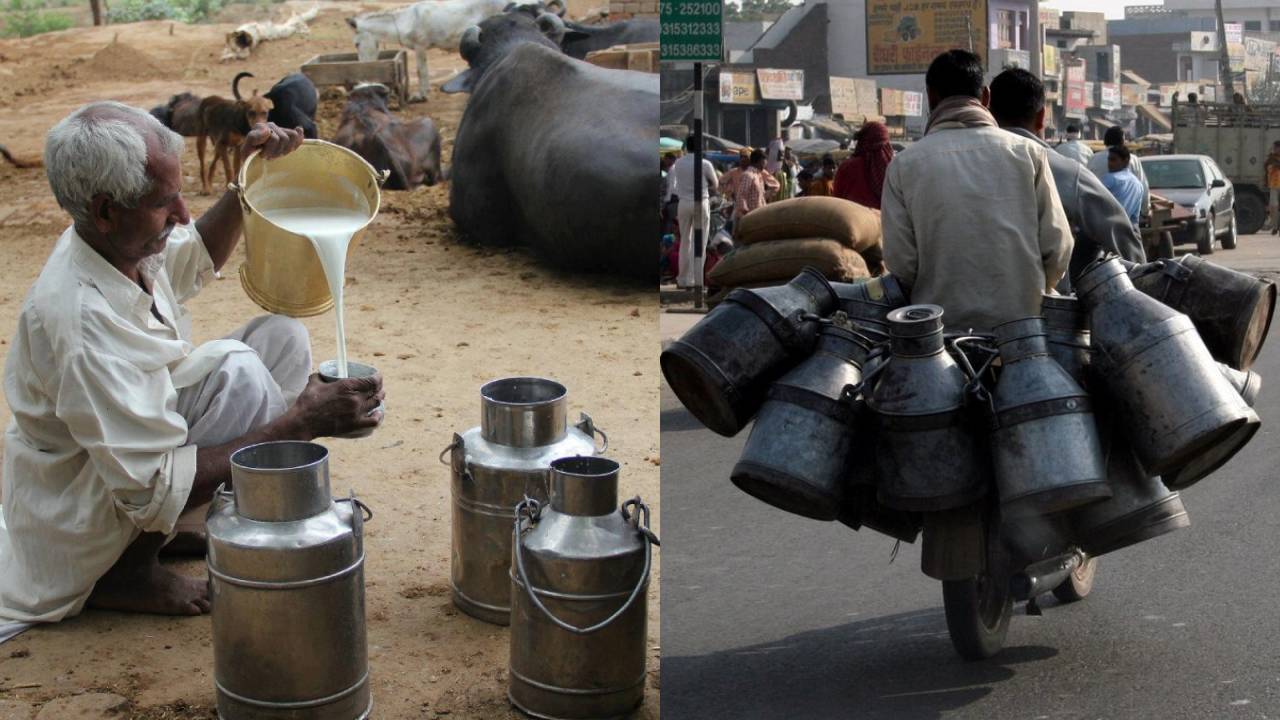 FSSAI सख्त: अब बिना लाइसेंस नहीं बेच सकेंगे दूध, जानें किन लोगों को कराना होगा रजिस्ट्रेशन
