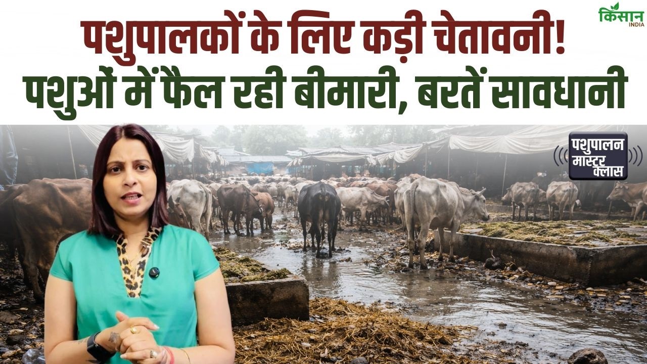 Alert: पशु बीमारियों का खतरा बढ़ा, कई पशुओं की मौत, पशुपालकों को सतर्क रहकर सावधानी बरतने की जरूरत