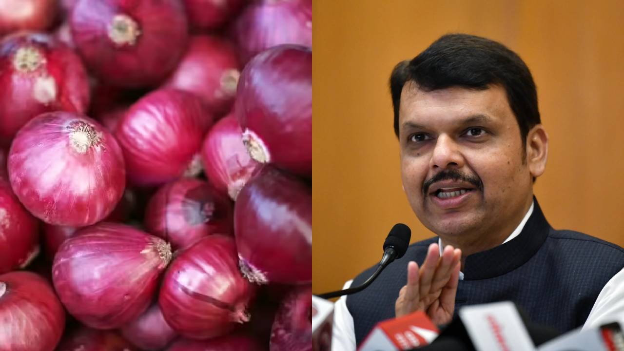 महाराष्ट्र में प्याज के गिरते-बढ़ते दामों पर सरकार सख्त, बनाएगी हाई लेवल कमेटी और देगी किसानों को तात्कालिक राहत