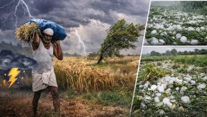 17 से 20 मार्च के बीच रबी फसल पर मौसम की मार का खतरा, महाराष्ट्र कृषि विभाग ने जारी की एडवाइजरी 17 से 20 मार्च के बीच रबी फसल पर मौसम की मार का खतरा, महाराष्ट्र कृषि विभाग ने जारी की एडवाइजरी