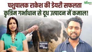 कृत्रिम गर्भाधान से बदली किस्मत, राकेश यादव की डेयरी सफलता की कहानी पशुपालकों के लिए बनी मिसाल कृत्रिम गर्भाधान से बदली किस्मत, राकेश यादव की डेयरी सफलता की कहानी पशुपालकों के लिए बनी मिसाल
