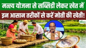 खेत के छोटे तालाब को बनाएं कमाई का साधन, PMMSY सब्सिडी से पर्ल फार्मिंग शुरू कर पाएं बेहतर आमदनी खेत के छोटे तालाब को बनाएं कमाई का साधन, PMMSY सब्सिडी से पर्ल फार्मिंग शुरू कर पाएं बेहतर आमदनी
