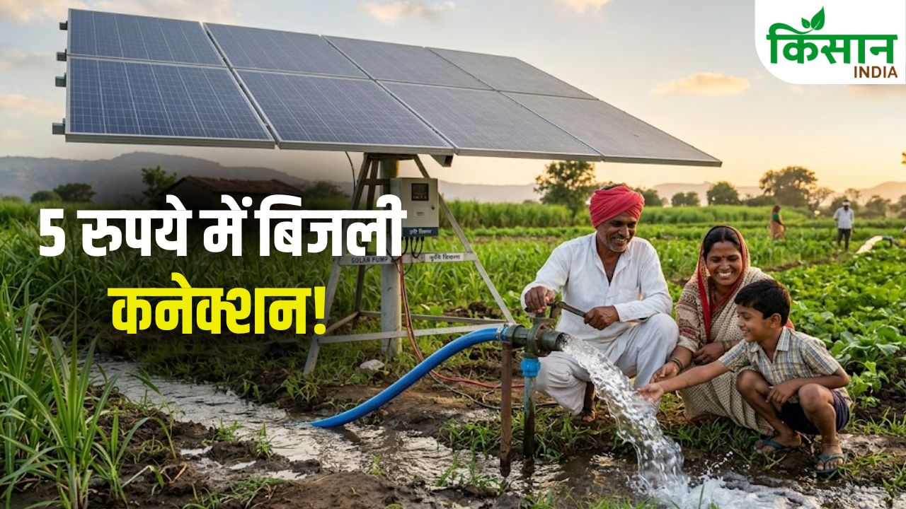 CM का बड़ा ऐलान…अब सिर्फ 5 रुपये में मिलेगा कृषि पंप कनेक्शन! किसानों की किस्मत बदलेगी ये योजना
