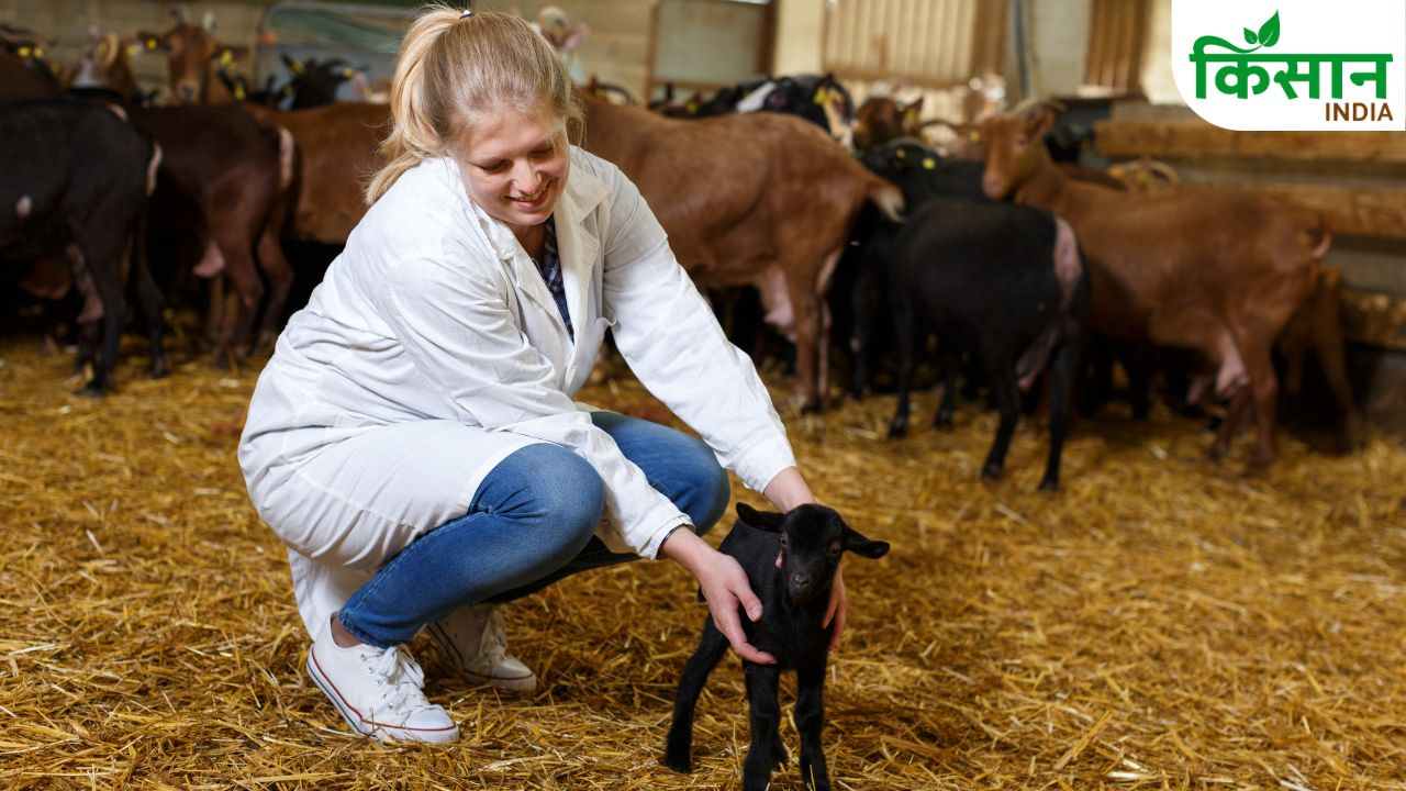 World Veterinary Day 2026: पशु चिकित्सक बने खाद्य सुरक्षा और स्वास्थ्य के असली रक्षक, देशभर में सम्मान