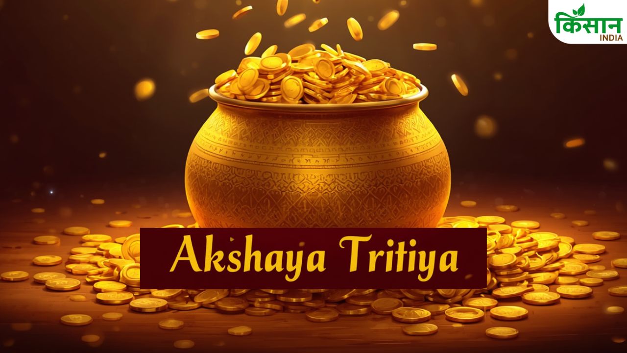 Akshaya Tritiya: साल का सबसे शुभ दिन! अक्षय तृतीया पर ये काम कर लिया तो चमक जाएगी किस्मत