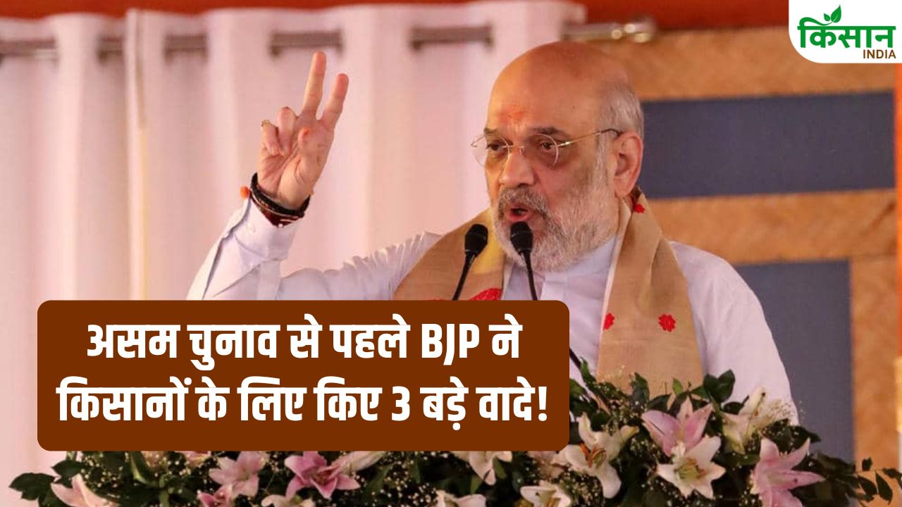 11,000 रुपये सालाना से MSP गारंटी तक, असम चुनाव से पहले BJP का बड़ा दांव, किसानों के लिए किए ये 3 बड़े वादे!