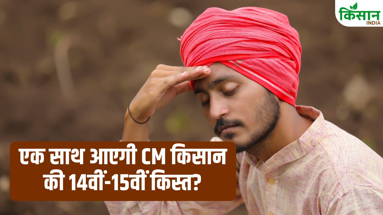 किसानों का बढ़ा इंतजार! CM किसान योजना की 14वीं-15वीं किस्त अटकी, एक साथ मिलेंगे 4000 रुपये?