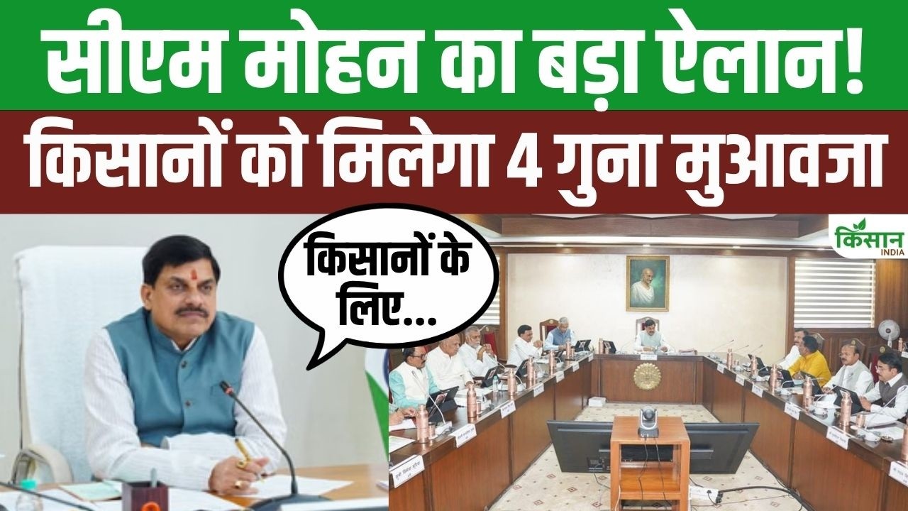 MP Cabinet Meeting में किसानों को मिली बड़ी सौगात, Mohan सरकार ने किया 4 गुना मुआवजा देने का ऐलान!
