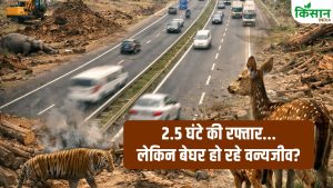2.5 घंटे की रफ्तार के पीछे जंगलों की तबाही! हजारों पेड़ों की बलि… क्या दिल्ली-देहरादून कॉरिडोर ने वन्यजीवों से छीना उनका घर? 2.5 घंटे की रफ्तार के पीछे जंगलों की तबाही! हजारों पेड़ों की बलि… क्या दिल्ली-देहरादून कॉरिडोर ने वन्यजीवों से छीना उनका घर?