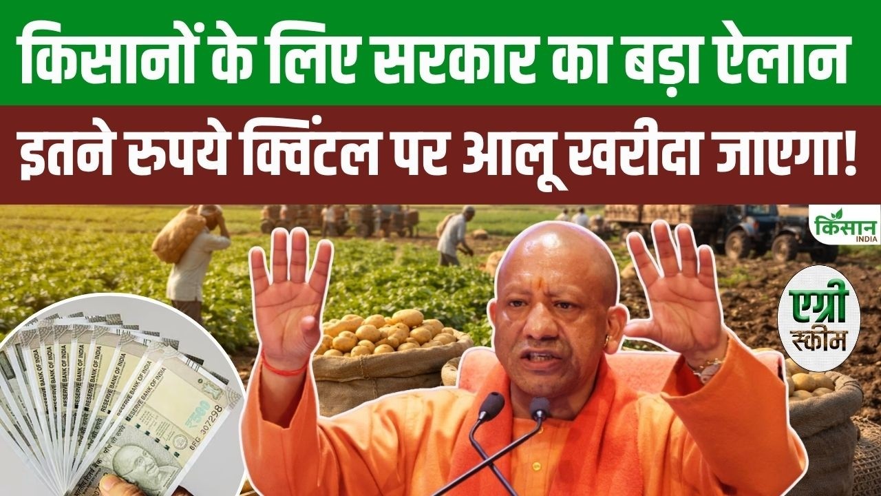 बाजार हस्तक्षेप योजना से आलू किसानों को राहत, सरकार ने तय किया न्यूनतम रेट, अब नुकसान की चिंता खत्म