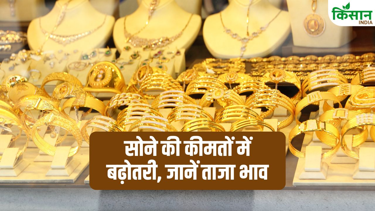 Gold Rate: सोना फिर चढ़ा आसमान पर! 1.5 लाख के पार पहुंचे दाम, खरीदने से पहले पढ़ें ये बड़ा अपडेट