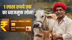 इस योजना से पशुपालकों की हो रही तगड़ी कमाई, बिना ब्याज के मिलता है 1 लाख का लोन.. ऐसे करें अप्लाई