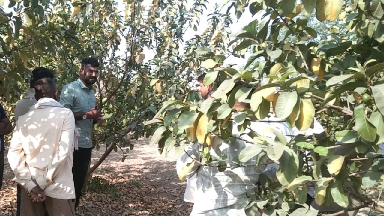 एक हजार रुपये खर्च कर किसानों को मिलेंगे 40 हजार रुपये, सरकार की खास योजना का लाभ उठायें किसान 