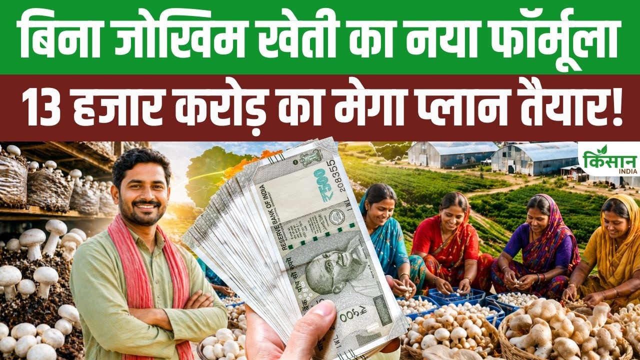 Andhra Pradesh सरकार का फैसला, मशरूम की खेती पर 13 हजार करोड़ खर्च होंगे