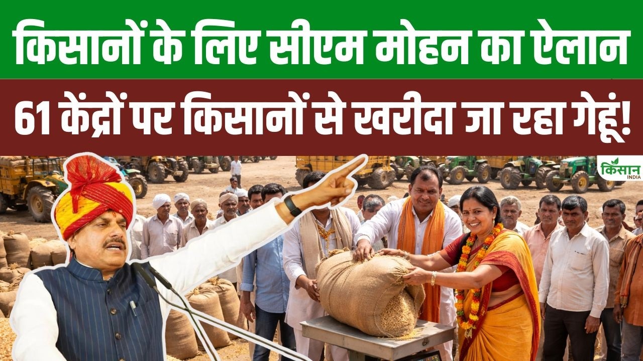 CM मोहन की किसानों को बड़ी सौगात.. 61 केंद्रों पर गेहूं खरीदी शुरू, MSP के साथ बोनस से बढ़ेगी कमाई