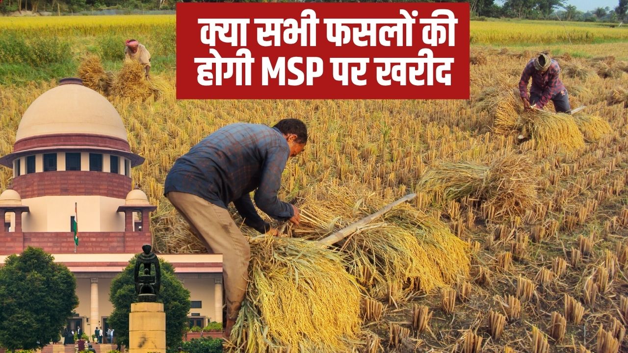C2 फॉर्मूला के तहत किसानों को मिलेगा MSP? सुप्रीम कोर्ट में हुई सुनवाई.. जानें CJI ने क्या कहा