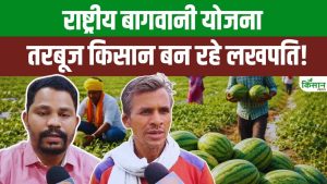किसानों के लिए वरदान बनी बागवानी मिशन योजना, तरबूज की बंपर खेती कर किसान बन रहे लखपति किसानों के लिए वरदान बनी बागवानी मिशन योजना, तरबूज की बंपर खेती कर किसान बन रहे लखपति
