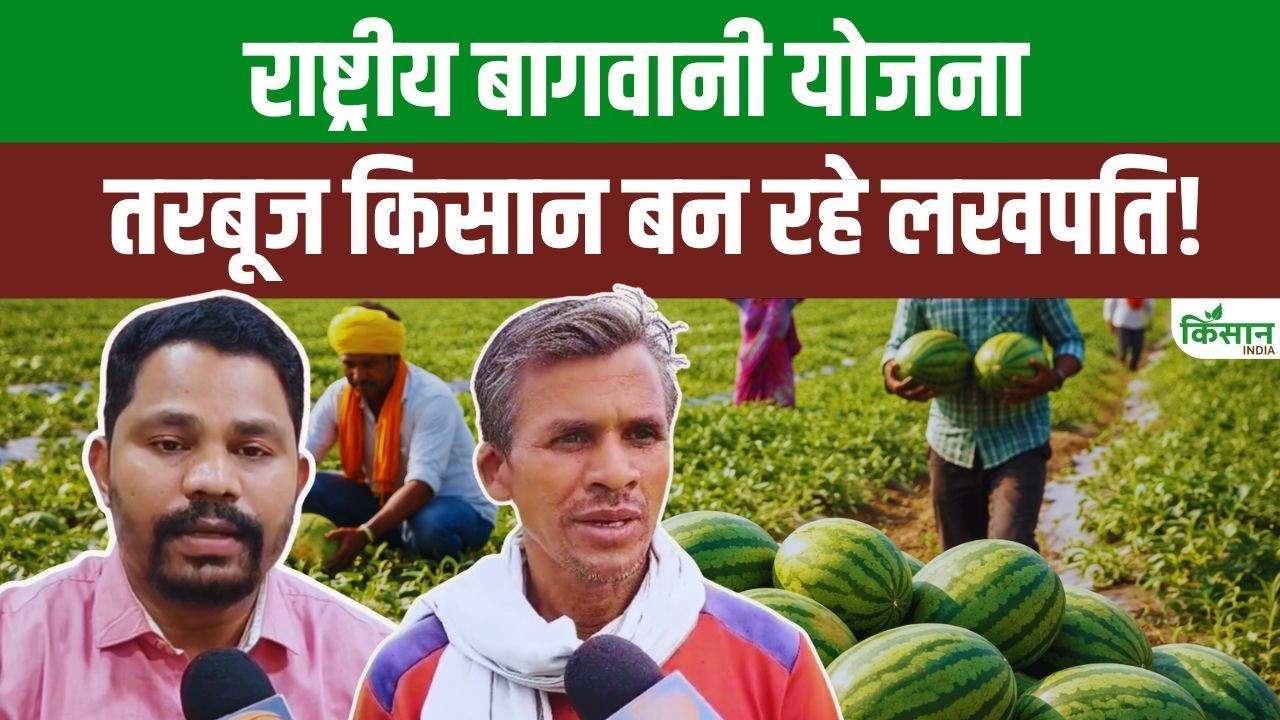 किसानों के लिए वरदान बनी बागवानी मिशन योजना, तरबूज की बंपर खेती कर किसान बन रहे लखपति