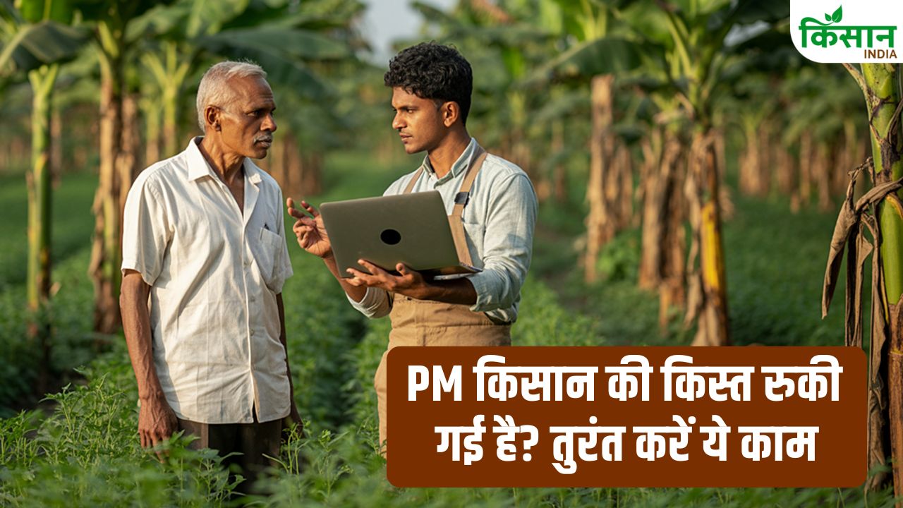 किस्त अटकी है तो घबराएं नहीं! ये 3 गलतियां सुधारते ही खाते में आएंगे पैसे, 30 अप्रैल आखिरी मौका