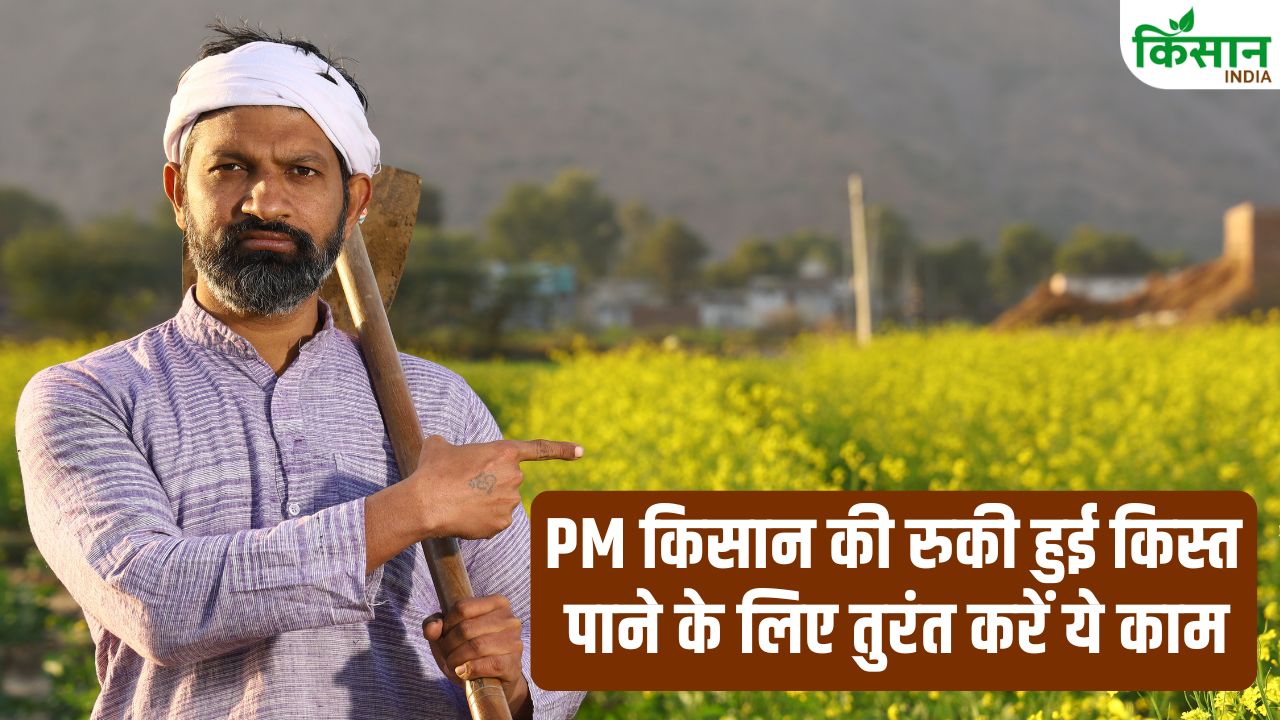PM Kisan: पीएम किसान की किस्त रुक गई? तुरंत करें ये काम, वरना हमेशा के लिए अटक सकता है पैसा