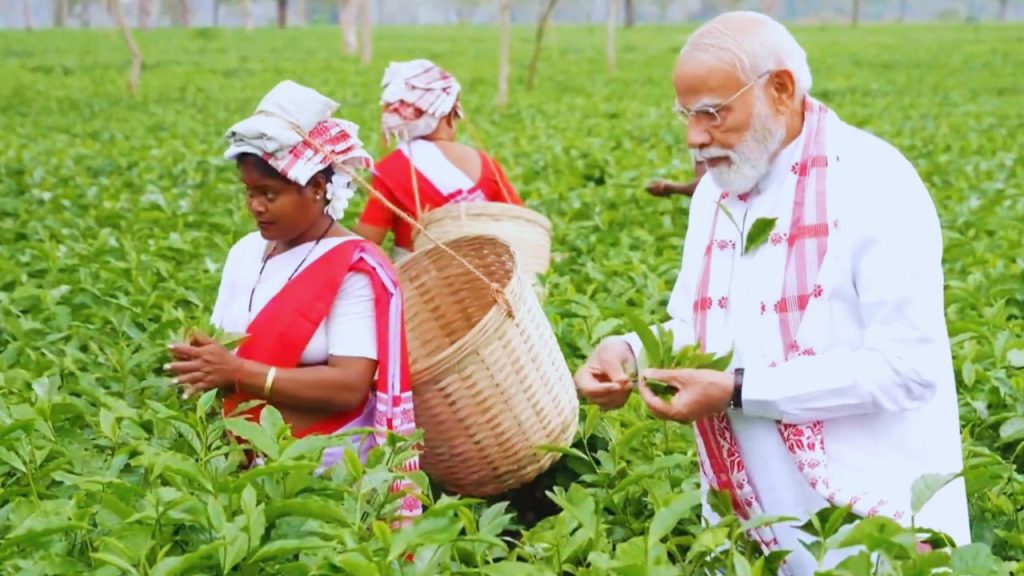 असम में इतनी चाय बनती है कि यह पूरे भारत के चाय उत्पादन का आधा हिस्सा है. हर साल ब्रह्मपुत्र और बारक घाटियों में लगभग 630–700 मिलियन किलो चाय उगाई जाती है. दिब्रूगढ़, तिनसुकिया और जोरहाट ऐसे मुख्य इलाके हैं जहां चाय सबसे ज्यादा उगती है. यही वजह है कि असम की चाय पूरे दुनिया में मशहूर है. असम में इतनी चाय बनती है कि यह पूरे भारत के चाय उत्पादन का आधा हिस्सा है. हर साल ब्रह्मपुत्र और बारक घाटियों में लगभग 630–700 मिलियन किलो चाय उगाई जाती है. दिब्रूगढ़, तिनसुकिया और जोरहाट ऐसे मुख्य इलाके हैं जहां चाय सबसे ज्यादा उगती है. यही वजह है कि असम की चाय पूरे दुनिया में मशहूर है.
