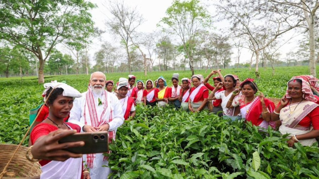 प्रधानमंत्री ने चाय पत्तियों की तुड़ाई का अनुभव किया और महिलाओं के साथ सेल्फी ली. इस दौरान उन्होंने महिलाओं के साथ उनकी सांस्कृतिक परंपराओं और जीवन शैली पर भी बातचीत की, जिससे स्थानीय जीवन और संस्कृति की झलक सामने आई. प्रधानमंत्री ने चाय पत्तियों की तुड़ाई का अनुभव किया और महिलाओं के साथ सेल्फी ली. इस दौरान उन्होंने महिलाओं के साथ उनकी सांस्कृतिक परंपराओं और जीवन शैली पर भी बातचीत की, जिससे स्थानीय जीवन और संस्कृति की झलक सामने आई.