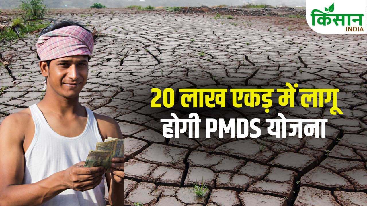 अल नीनो से निपटने के लिए रोडमैप तैयार, लागू होगी PMDS योजना.. प्रति एकड़ बढ़ेगी कमाई