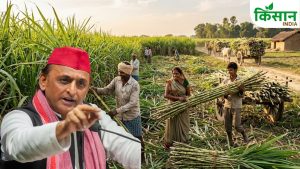 अखिलेश यादव बोले- सरकार बनने पर 24 घंटे में होगा गन्ना किसानों को भुगतान, बनाएंगे रिवॉल्विंग फंड अखिलेश यादव बोले- सरकार बनने पर 24 घंटे में होगा गन्ना किसानों को भुगतान, बनाएंगे रिवॉल्विंग फंड