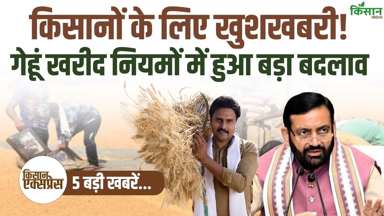 Top 5 Agriculture News: किसानों के लिए खुशखबरी, सरकार ने गेहूं खरीद नियमों में किया बड़ा बदलाव, मिलेगा अब ज्यादा लाभ