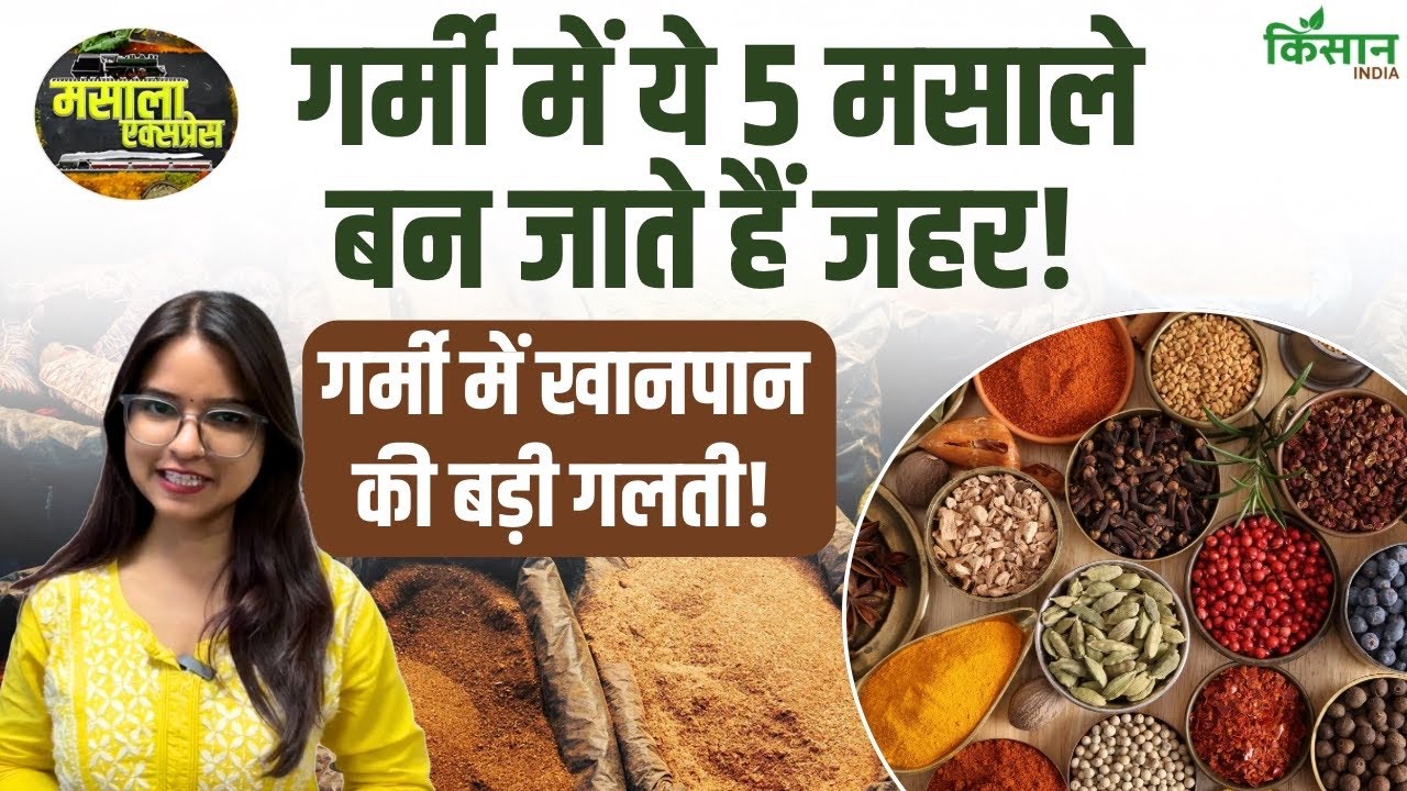 गर्मियों में ये 5 मसाले बन सकते हैं मुसीबत, ठंडा पानी भी नहीं बचा पाएगा