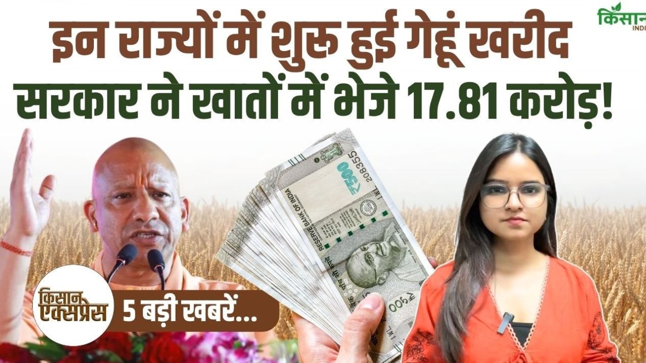 1 अप्रैल से इन राज्यों में शुरू हुई गेहूं की MSP खरीद, सरकार ने किसानों के खाते में भेजे 17.81 करोड़