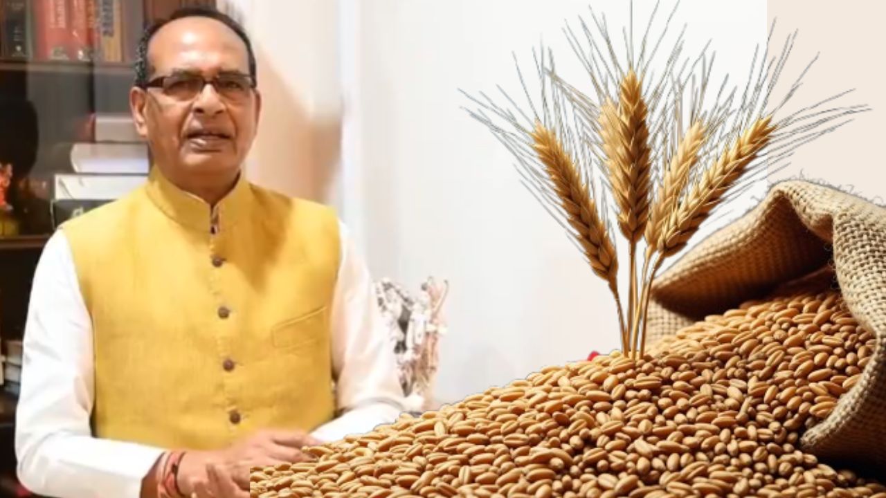 किसान का गेहूं हर हाल में खरीदा जाएगा, डेडलाइन बढ़ेगी! तौल कांटों में दिक्कत मिली तो नपेंगे अफसर 