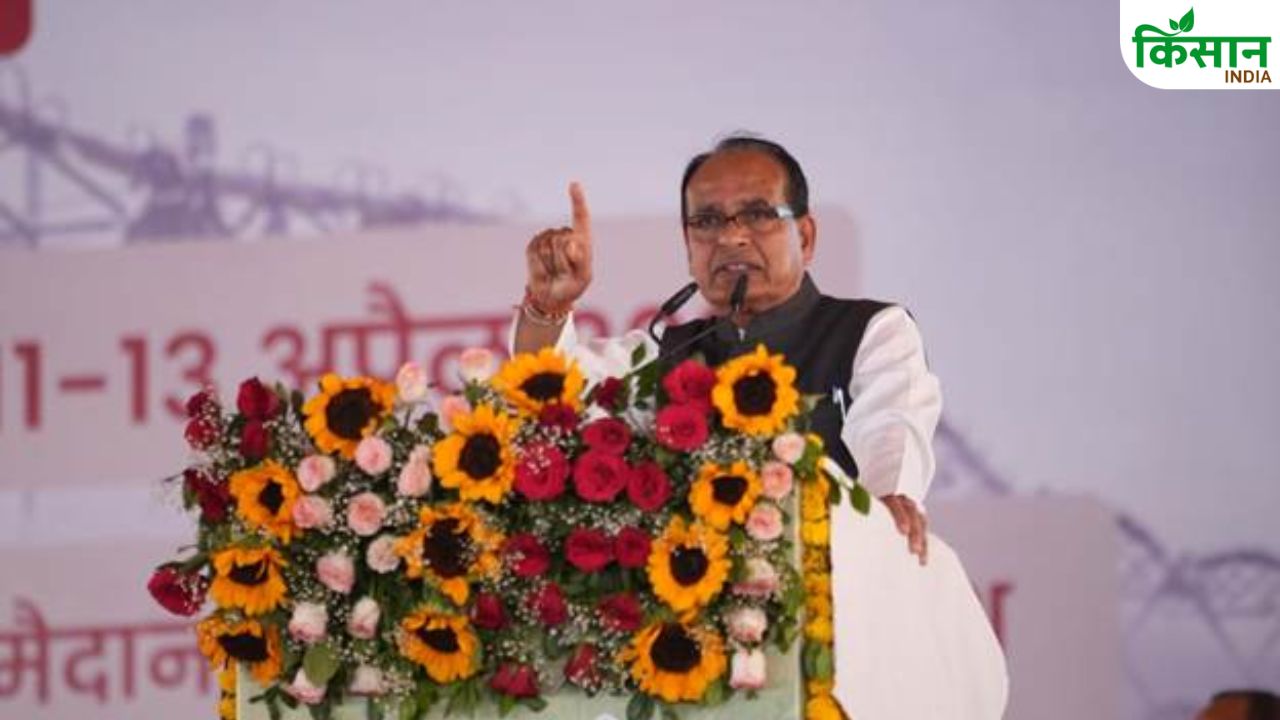अब मोबाइल बताएगा खेत में कितनी खाद डालें, रायसेन कृषि महोत्सव में किसानों को मिला बड़ा स्मार्ट तोहफा