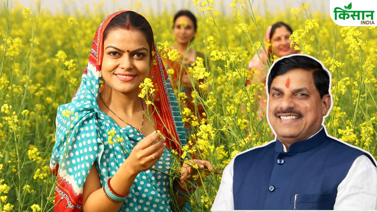 लाड़ली बहना योजना की 35वीं किस्त जारी, 1.25 करोड़ महिलाओं के खातों में पहुंचे 1,836 करोड़ रुपये