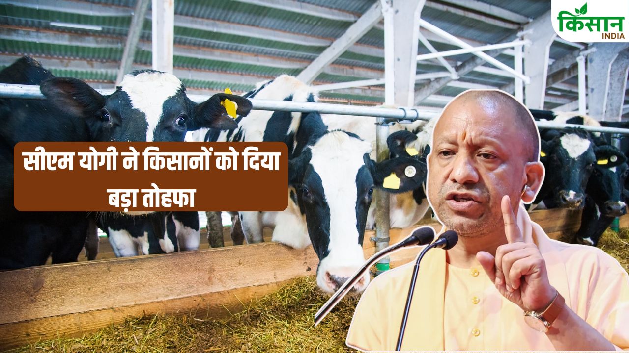 165 गांवों के डेयरी किसानों के लिए खुशखबरी, सीएम योगी ने 40 हजार लीटर क्षमता वाला दुग्ध केंद्र लॉन्च किया