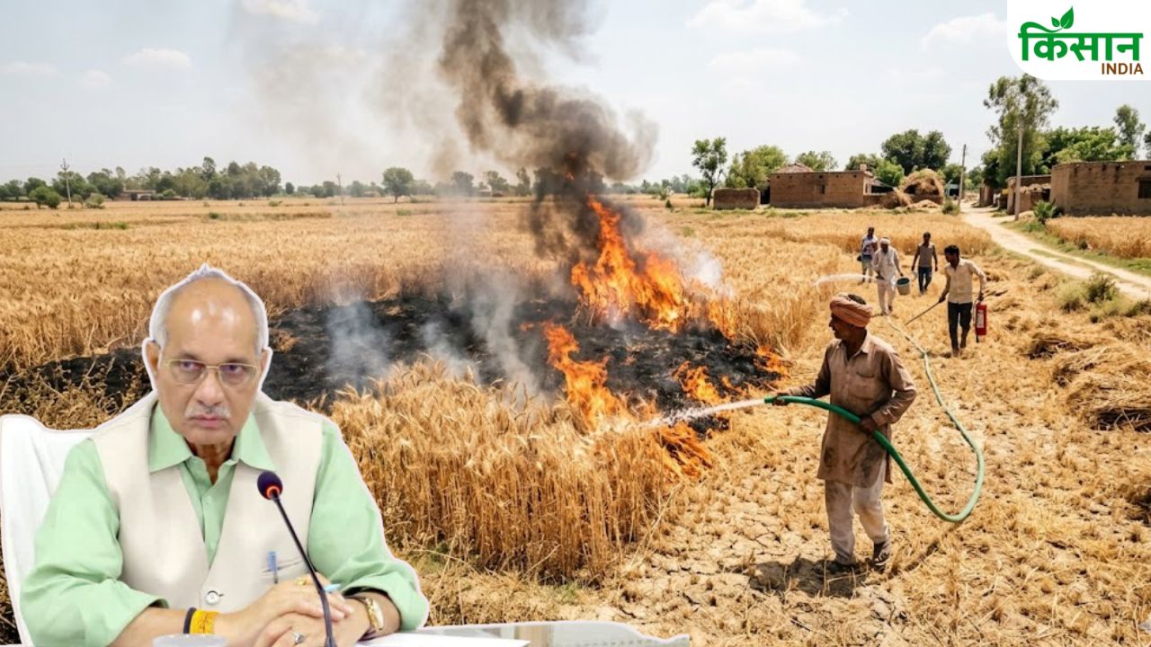किसान सावधान! गर्मी में एक गलती बर्बाद कर देगी आपकी पूरी फसल! सरकार ने जारी की एडवाइजरी
