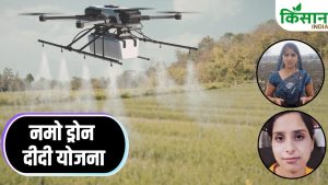 मध्य प्रदेश की रीना और निदा का कमाल, ड्रोन से खेती बदली और कमाई लाखों के पार पहुंचाई मध्य प्रदेश की रीना और निदा का कमाल, ड्रोन से खेती बदली और कमाई लाखों के पार पहुंचाई