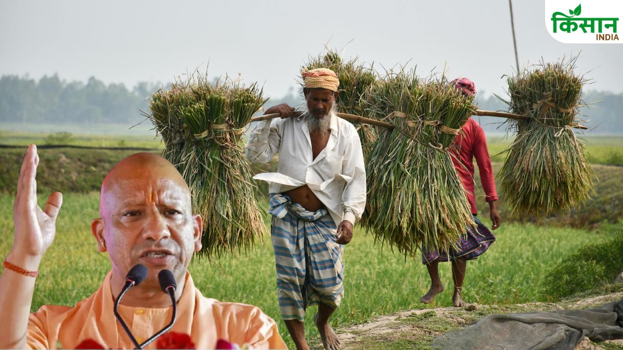 अब जंगली जानवरों से बर्बाद नहीं होगी किसानों की मेहनत, सीएम योगी ने कर दिया बड़ा ऐलान
